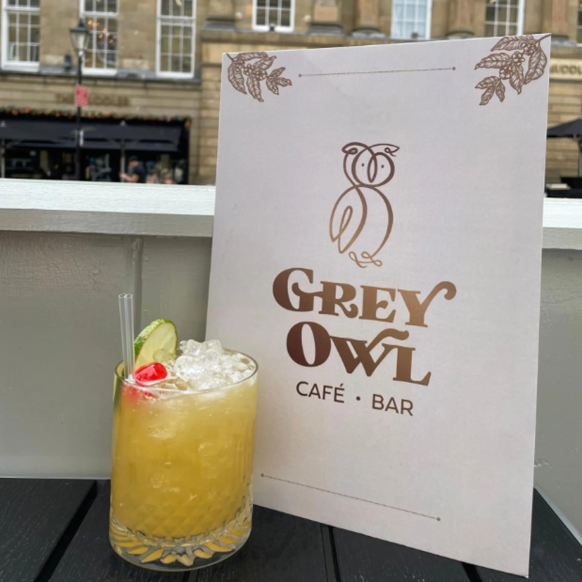 Grey Owl